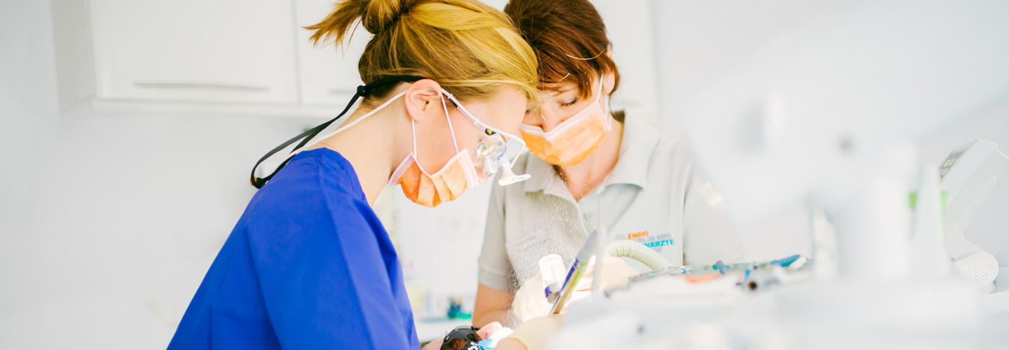 head endo ueberblick