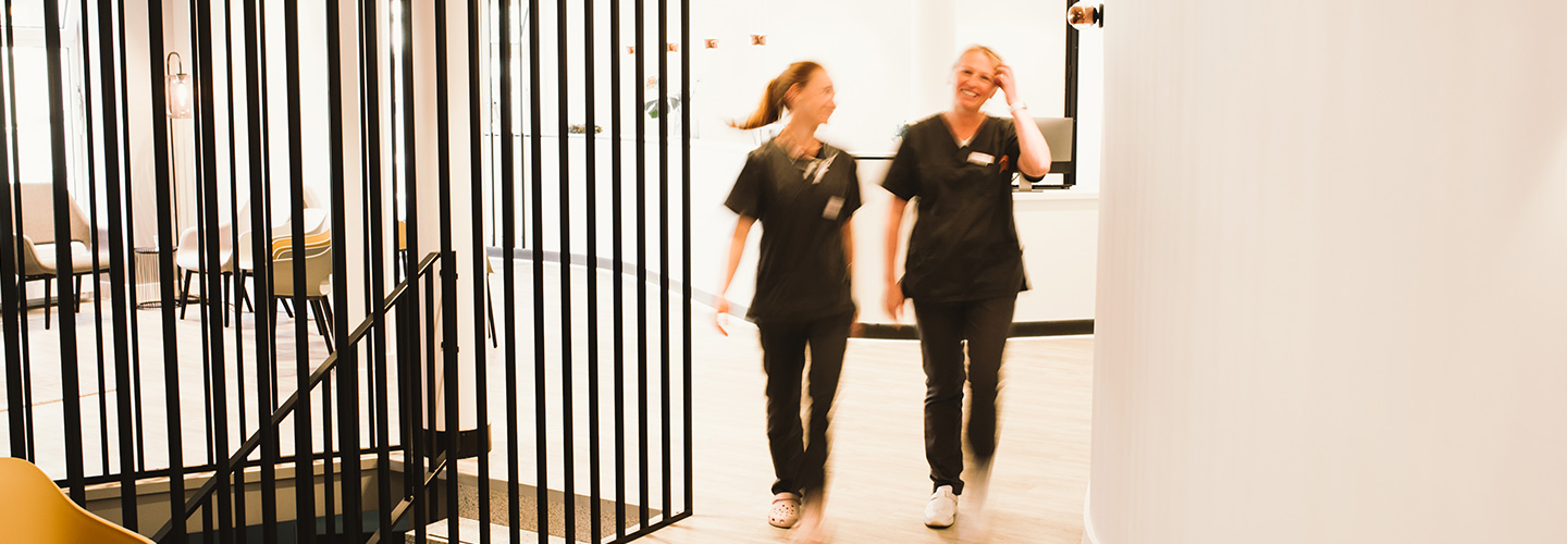 head kollegen teamwork endo